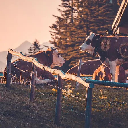 Apartment Relax Walchensee