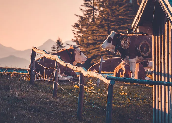 Appartement Relax Walchensee