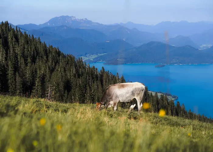 Relax Appartement Walchensee