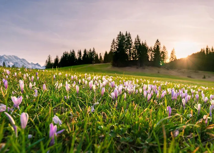 Relax Appartement Walchensee